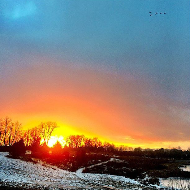 Peck Farm Sunset - @the_yogabee